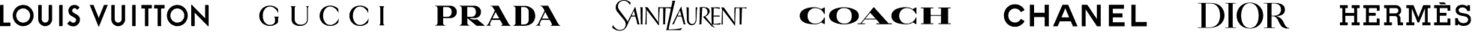 Louis Vuitton, Gucci, Prada, Saint Laurent, Coach, Chanel, Dior, Hermès