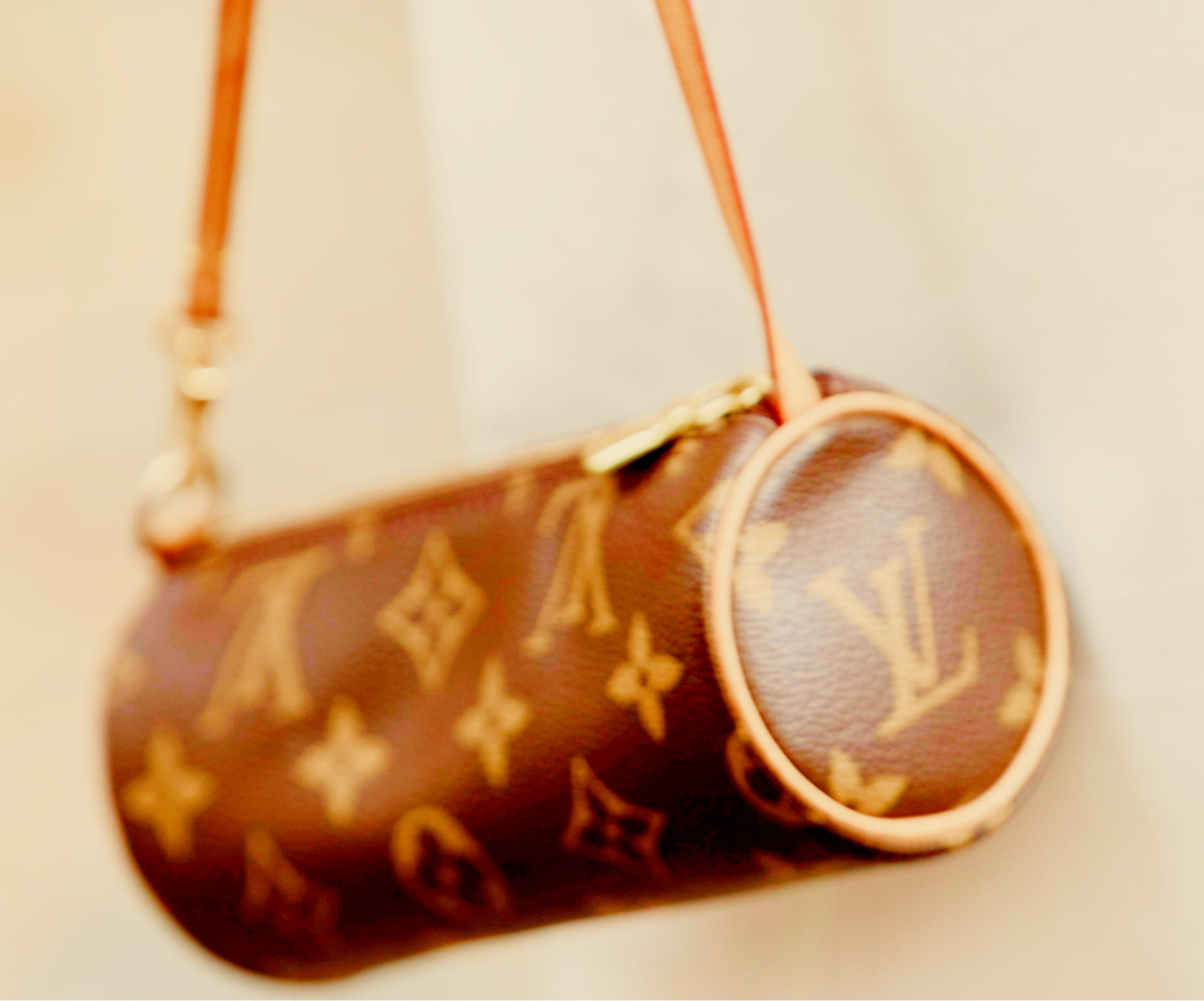 Louis Vuitton monogram bag