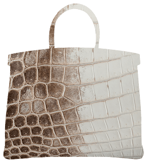 Hermès Birkin Exotic