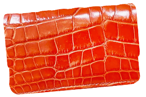 Chanel Classic Flap Exotic